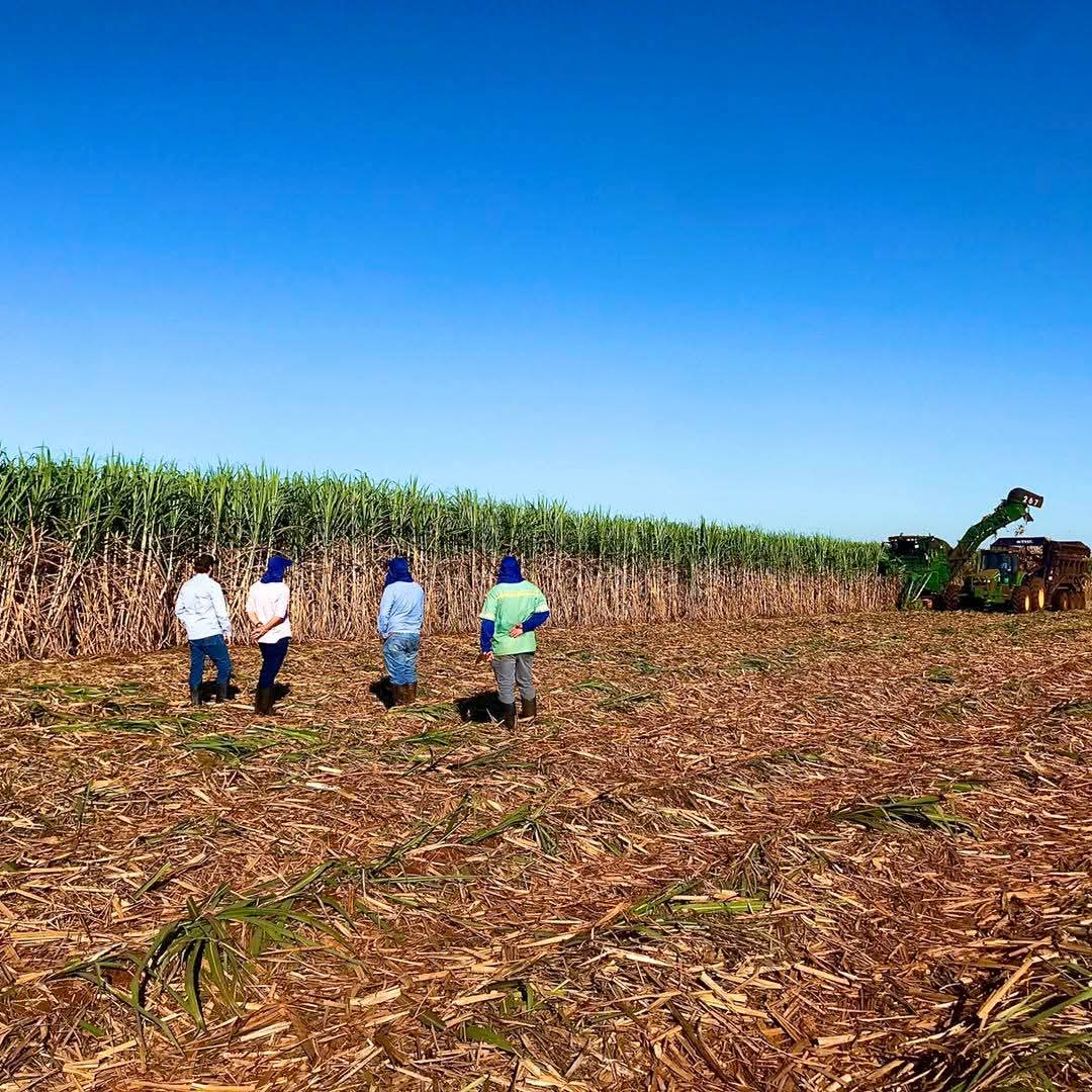 Aguapei Agroenergia S.A